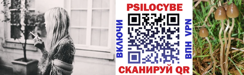 Псилоцибиновые грибы Psilocybine cubensis Билибино